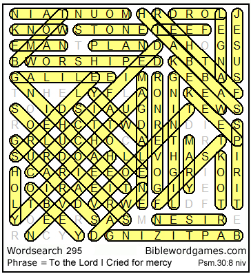 Bibe wordsearch puzzle